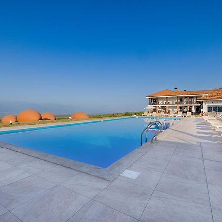Hotel Qvevrebi Τελάβι Εξωτερικό φωτογραφία